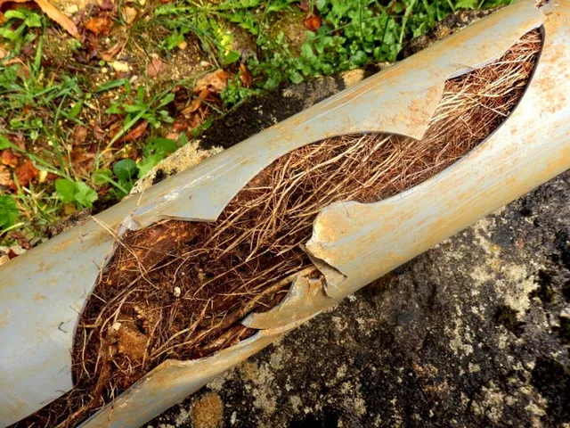 Drain engineer in Farnham performing professional root removal and drain repairs using high-pressure jetting equipment